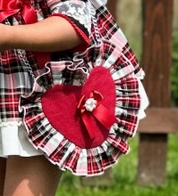 IN25-01Check  Heart BAG