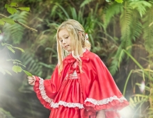 CAPA FAIRY FOREST